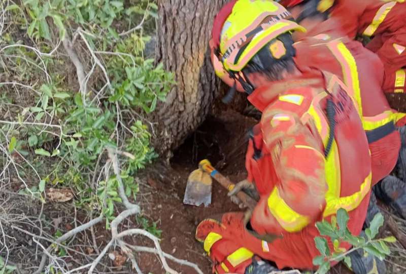 Salven a un gos atrapat diversos dies en un cau de conill a la Pobla Llarga