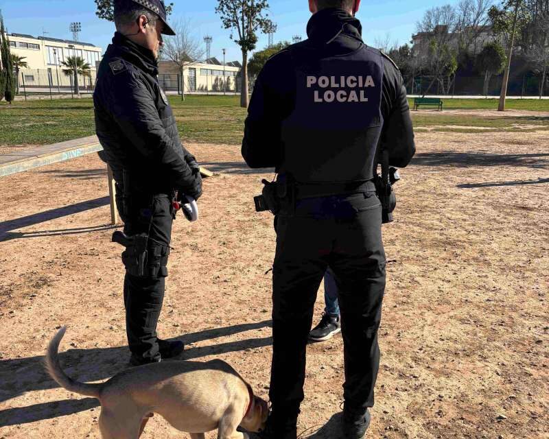 Manises multarà amb 600 euros als propietaris de mascotes que no estiguen en el cens de l’ADN caní