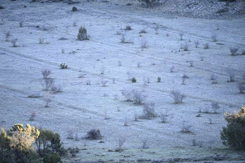 La Comunitat Valenciana es prepara per a un temporal de pluja i neu