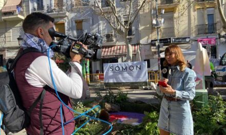 À Punt amplia la programació de Falles