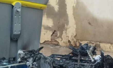 Cremen dos contenidors en Albalat dels Sorells