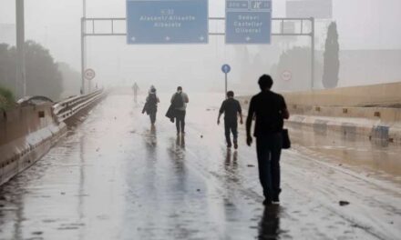Comencen les obres per a evitar noves riuades en la pista de Silla