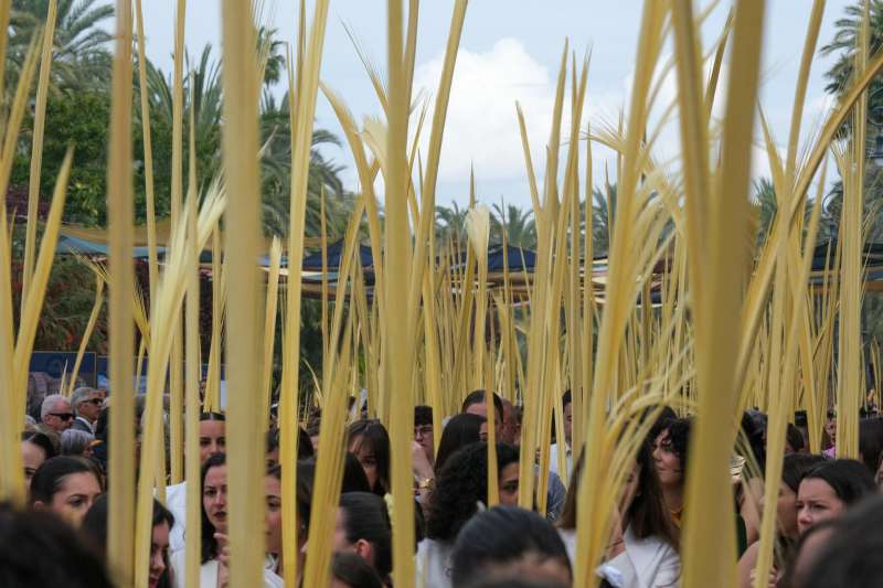 Elx celebra un multitudinari Diumenge de Rams amb prop de 70.000 persones