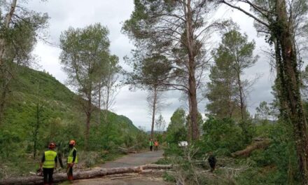 Comencen les tasques de prevenció d’incendis forestals a l’entrada de la Casella