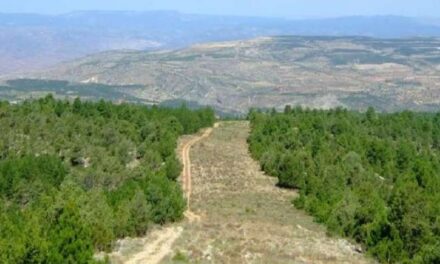 La Generalitat i la Diputació de València col·laboren en la millora de camins d’interés territorial que coincidixen amb el traçat de vies pecuàries