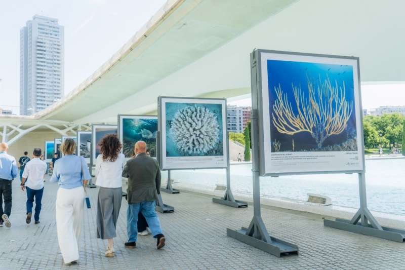 El Oceanogràfic visibilitza l’impacte humà en els oceans en una exposició fotogràfica en la Ciutat de les Arts i les Ciències